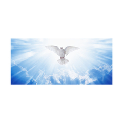 Painel Adesivo Igreja Religião Deus Fé Cristo - 0116pdt - Allodi