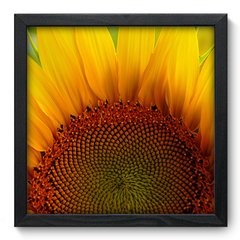 Quadro Decorativo com Moldura - Girassol - 012qnf