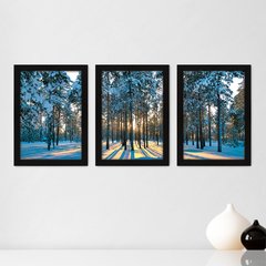 Kit Com 3 Quadros - Floresta Árvores Paisagem - 015kq02p