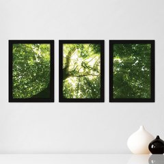 Kit Com 3 Quadros - Floresta Árvore Paisagem - 033kq02p