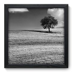Quadro Decorativo com Moldura - Árvore - 035qnp