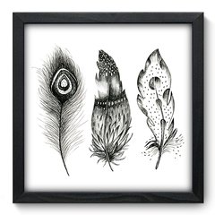 Quadro Decorativo com Moldura - Penas - 036qnd