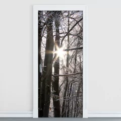 Adesivo Decorativo de Porta - Floresta - Ávores - 038cnpt