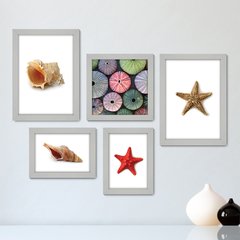 Kit Com 5 Quadros Decorativos - Mar Concha Estrela do Mar - 039kq01 - comprar online