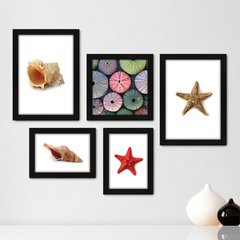 Kit Com 5 Quadros Decorativos - Mar Concha Estrela do Mar - 039kq01