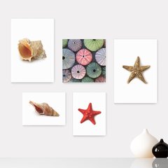 Kit 5 Placas Decorativas - Mar Concha Estrela do Mar Casa Quarto Sala - 039ktpl5