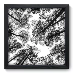 Quadro Decorativo com Moldura - Árvores - 041qnp