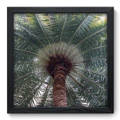 Quadro Decorativo com Moldura - Coqueiro - 043qnd