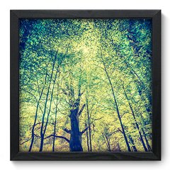 Quadro Decorativo com Moldura - Árvores - 046qnp