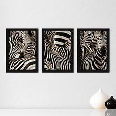 Kit Com 3 Quadros - Zebra Natureza Animais - 047kq02p