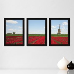 Kit Com 3 Quadros - Campo Moinho Paisagem - 050kq02p