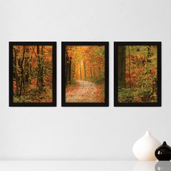 Kit Com 3 Quadros - Floresta Árvores Paisagem - 051kq02p