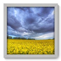 Quadro Decorativo com Moldura - Campo - 051qnp - comprar online