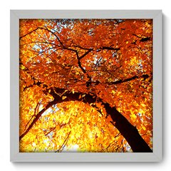 Quadro Decorativo com Moldura - Árvore - 052qnp - comprar online