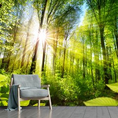 Papel de Parede Paisagem Floresta Natureza Sol Sala Painel Adesivo - 056pc