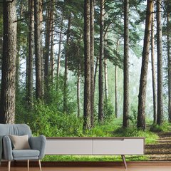 Papel de Parede Paisagem Floresta Natureza Sala Painel Adesivo - 057pc