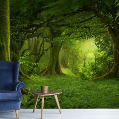Papel de Parede Paisagem Floresta Natureza Sala Painel Adesivo - 059pc
