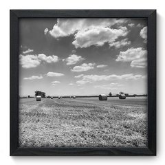 Quadro Decorativo com Moldura - Campo - 059qnp