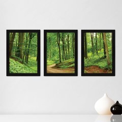 Kit Com 3 Quadros - Floresta Árvores Paisagem - 060kq02p