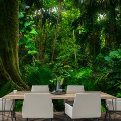Papel de Parede Paisagem Floresta Natureza Sala Painel Adesivo - 060pc