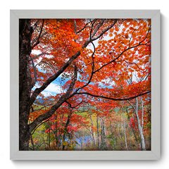 Quadro Decorativo com Moldura - Árvore - 061qnd - comprar online