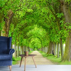 Papel de Parede Paisagem Caminho Natureza Sala Painel Adesivo - 067pc