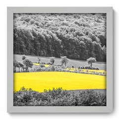 Quadro Decorativo com Moldura - Campo - 070qnp - comprar online