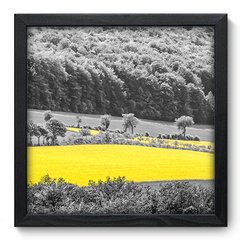 Quadro Decorativo com Moldura - Campo - 070qnp