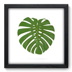 Quadro Decorativo com Moldura - Costela de Adão - 072qnd
