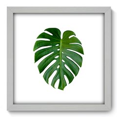 Quadro Decorativo com Moldura - Costela de Adão - 073qnd - comprar online