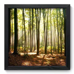 Quadro Decorativo com Moldura - Floresta - 074qnp