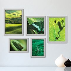 Kit Com 5 Quadros Decorativos - Verde Natureza Animais - 076kq01 - comprar online