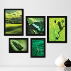 Kit Com 5 Quadros Decorativos - Verde Natureza Animais - 076kq01