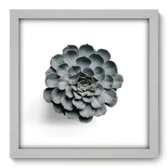 Quadro Decorativo com Moldura - Suculenta - 077qnd - comprar online