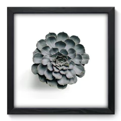 Quadro Decorativo com Moldura - Suculenta - 077qnd