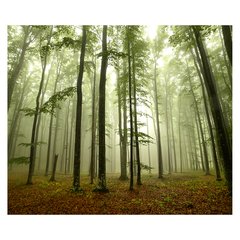 Papel de Parede Árvores Floresta Natureza Sala Painel Adesivo - 080pc na internet