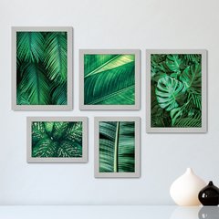 Kit Com 5 Quadros Decorativos - Folhas Natureza Costela de Adão - 083kq01 - comprar online