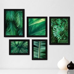 Kit Com 5 Quadros Decorativos - Folhas Natureza Costela de Adão - 083kq01