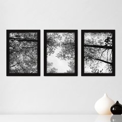 Kit Com 3 Quadros - Floresta Árvores Paisagem - 083kq02p