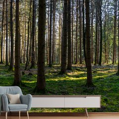 Papel de Parede Árvores Floresta Natureza Sala Painel Adesivo - 083pc