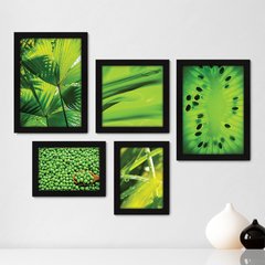 Kit Com 5 Quadros Decorativos - Folhas Verde Kiwi Natureza - 084kq01