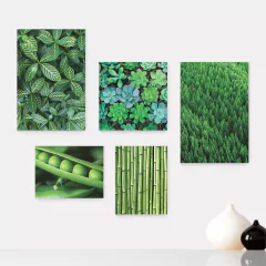 Kit 5 Placas Decorativas - Verde Suculenta Natureza Casa Quarto Sala - 092ktpl5