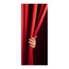 Adesivo Decorativo de Porta - Abrindo a Cortina - 092cnpt na internet
