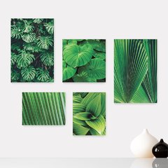 Kit 5 Placas Decorativas - Folhas Natureza Folhagem Casa Quarto Sala - 094ktpl5