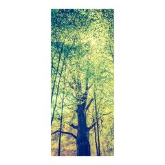 Adesivo Decorativo de Porta - Floresta - Natureza - 1014cnpt na internet