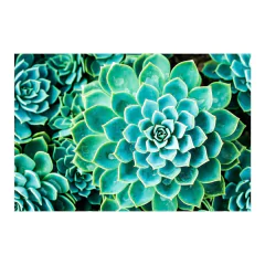 Painel Adesivo de Parede - Suculentas - 1075pn - comprar online