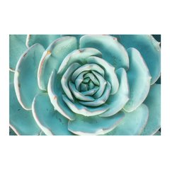 Painel Adesivo de Parede - Suculentas - 1076pn - comprar online