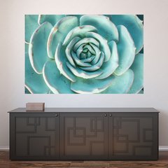 Painel Adesivo de Parede - Suculentas - 1076pn