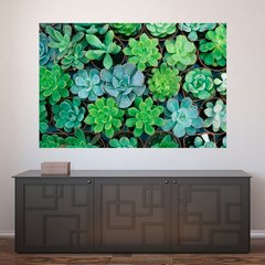 Painel Adesivo de Parede - Suculentas - 1077pn