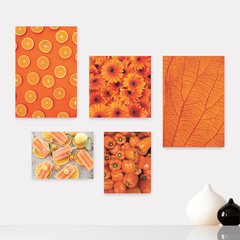 Kit 5 Placas Decorativas - Laranja Sorvete Pimentão Folha Casa Quarto Sala - 107ktpl5